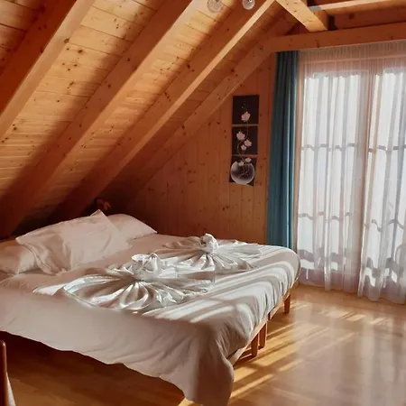 Al Sentiero Di Charly 3* Tarvisio