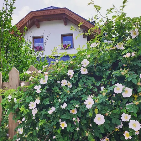 Al Sentiero Di Charly